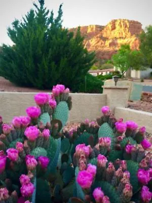 Harmony Hills * Sedona